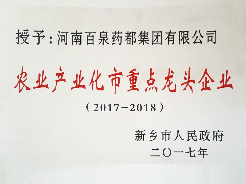 2017龍頭企業